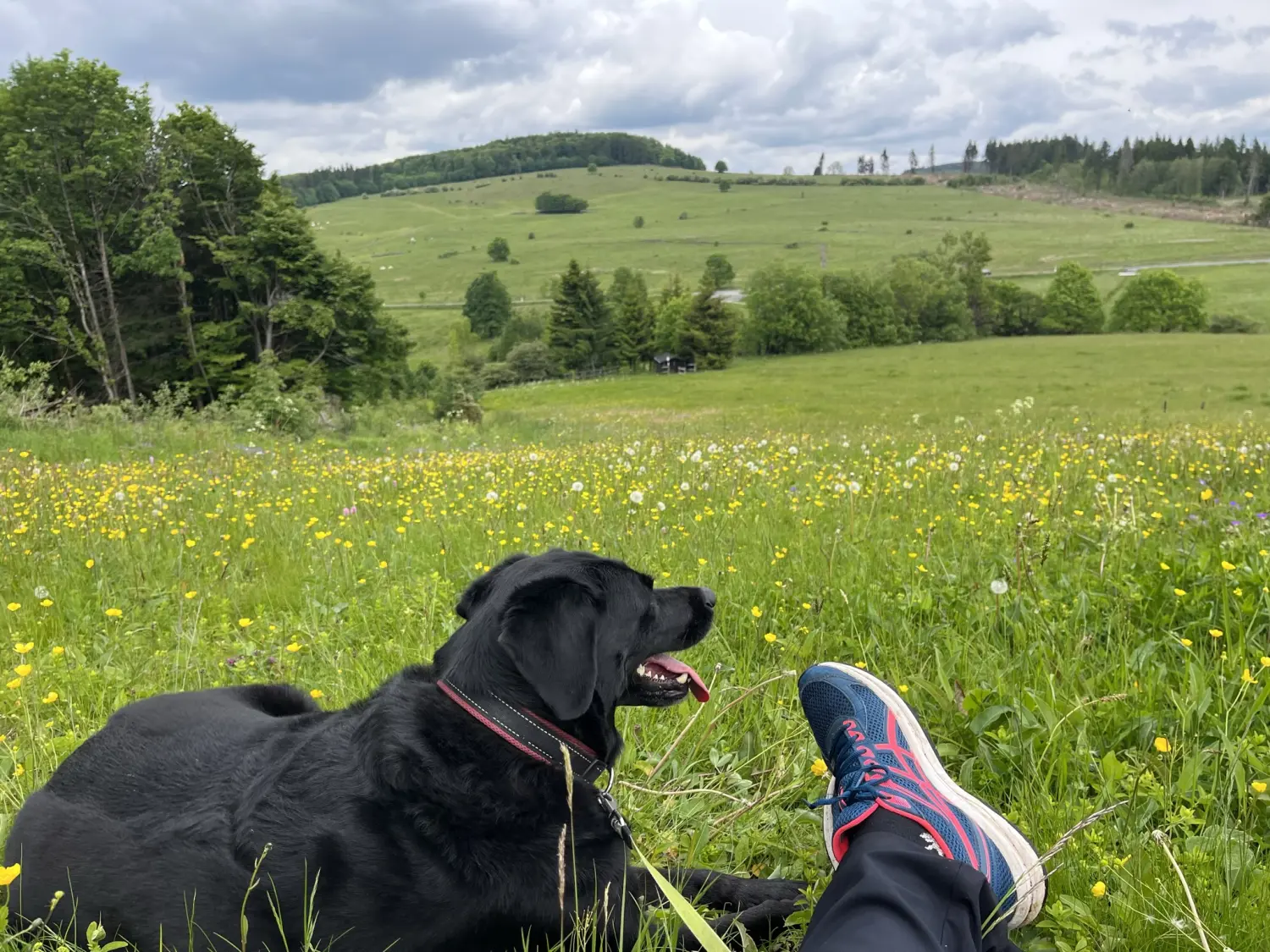 Bettina Landmesser mit Hund im Garten